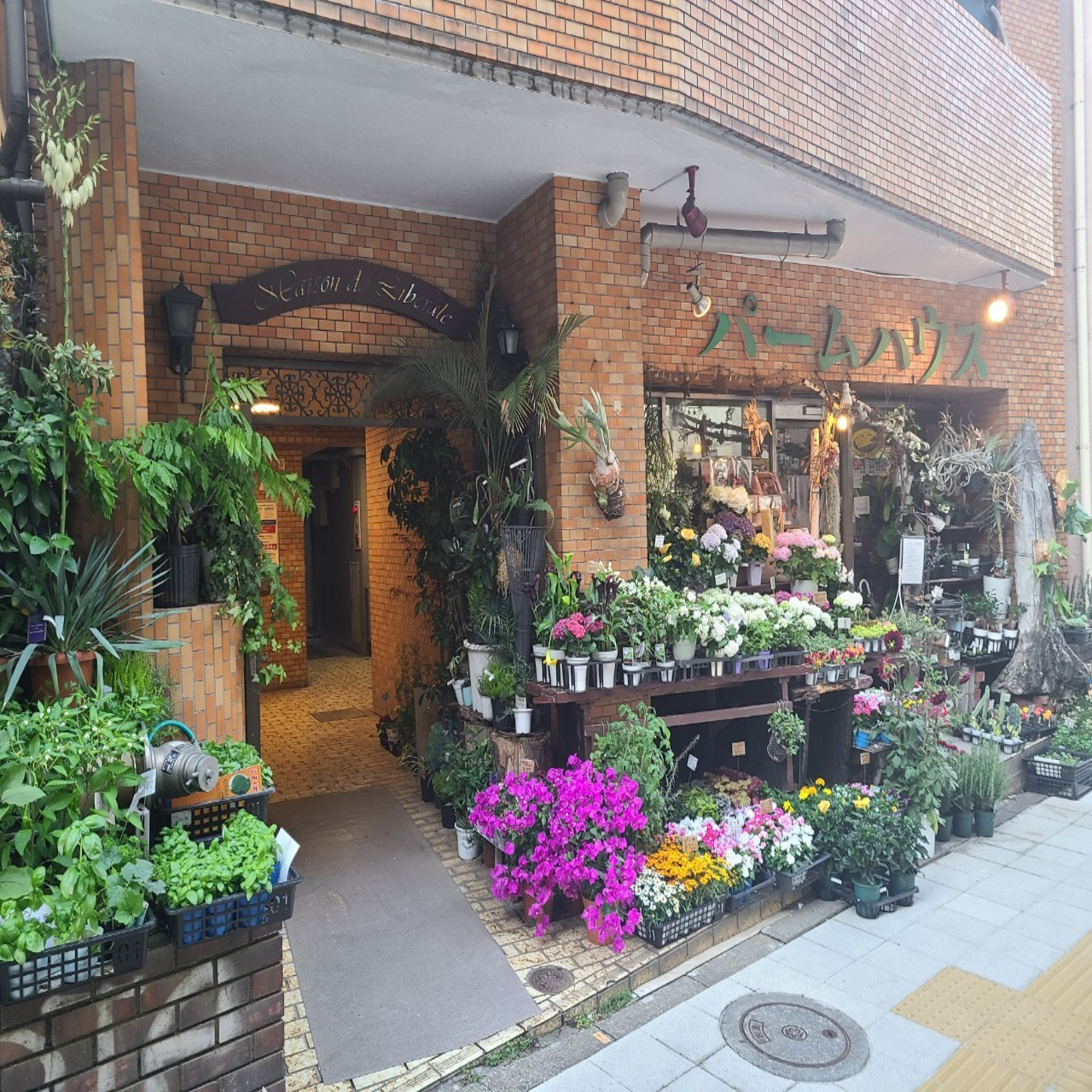 メゾン・ド・リベラルの写真3