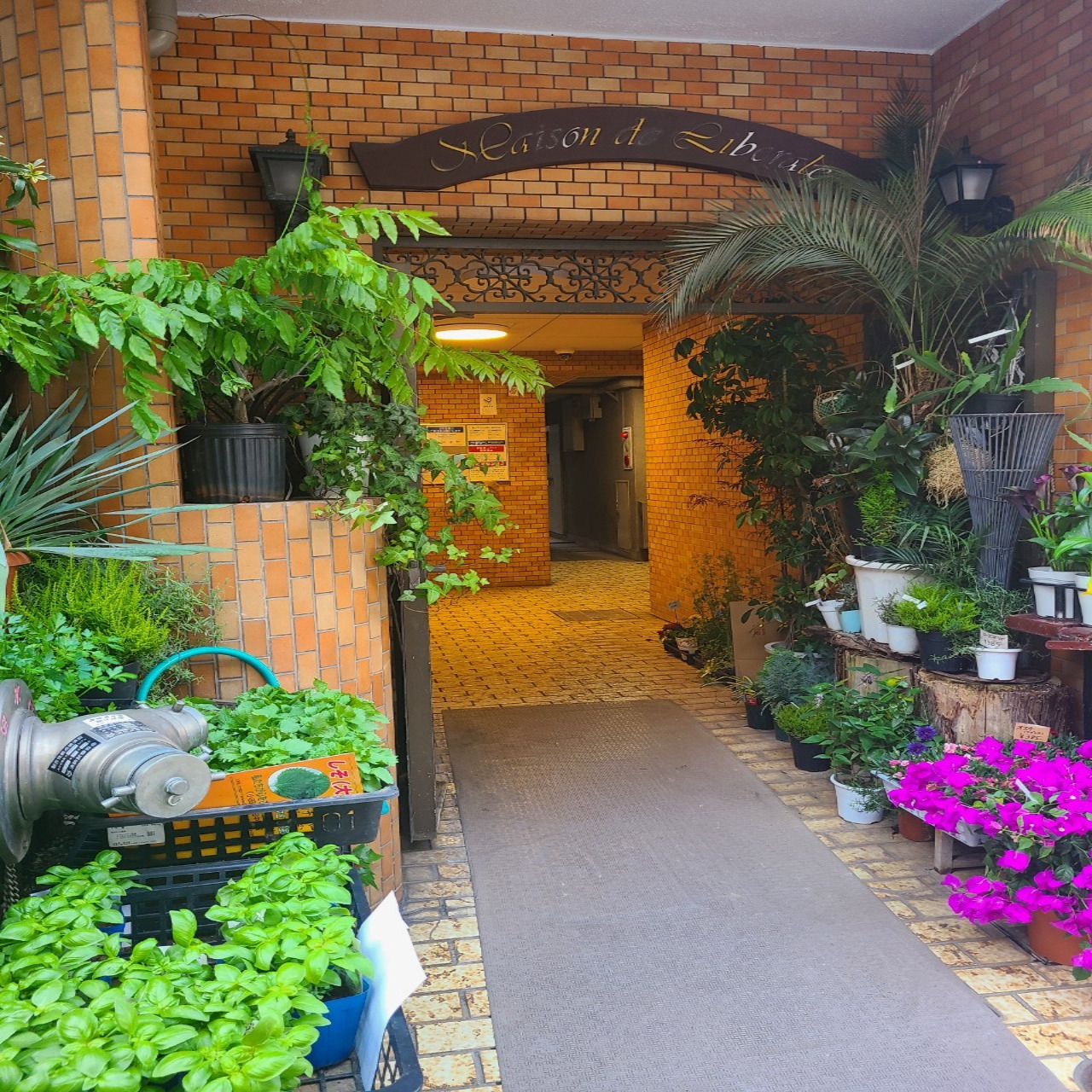 メゾン・ド・リベラルの写真4