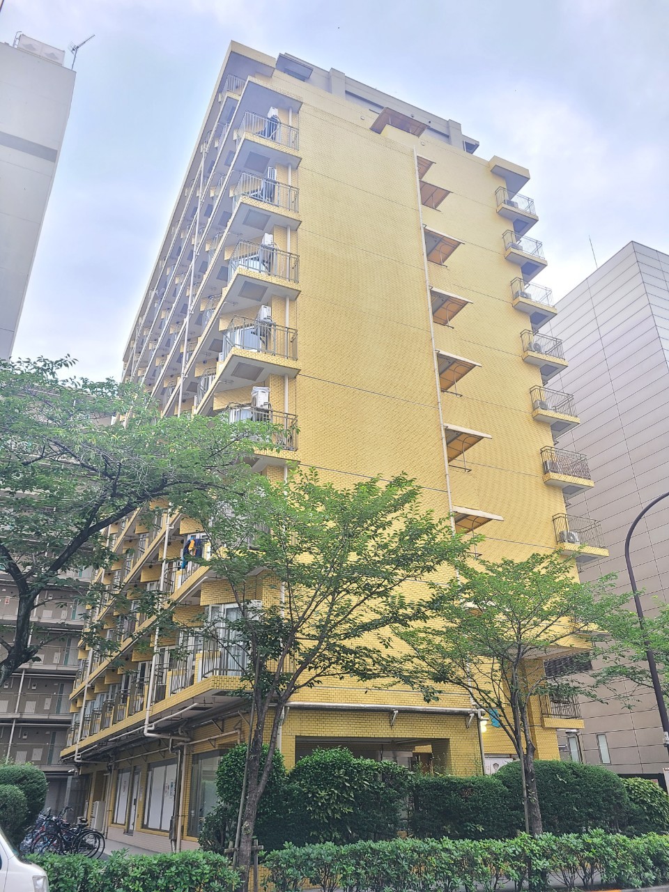 東京ベイビユウの写真2