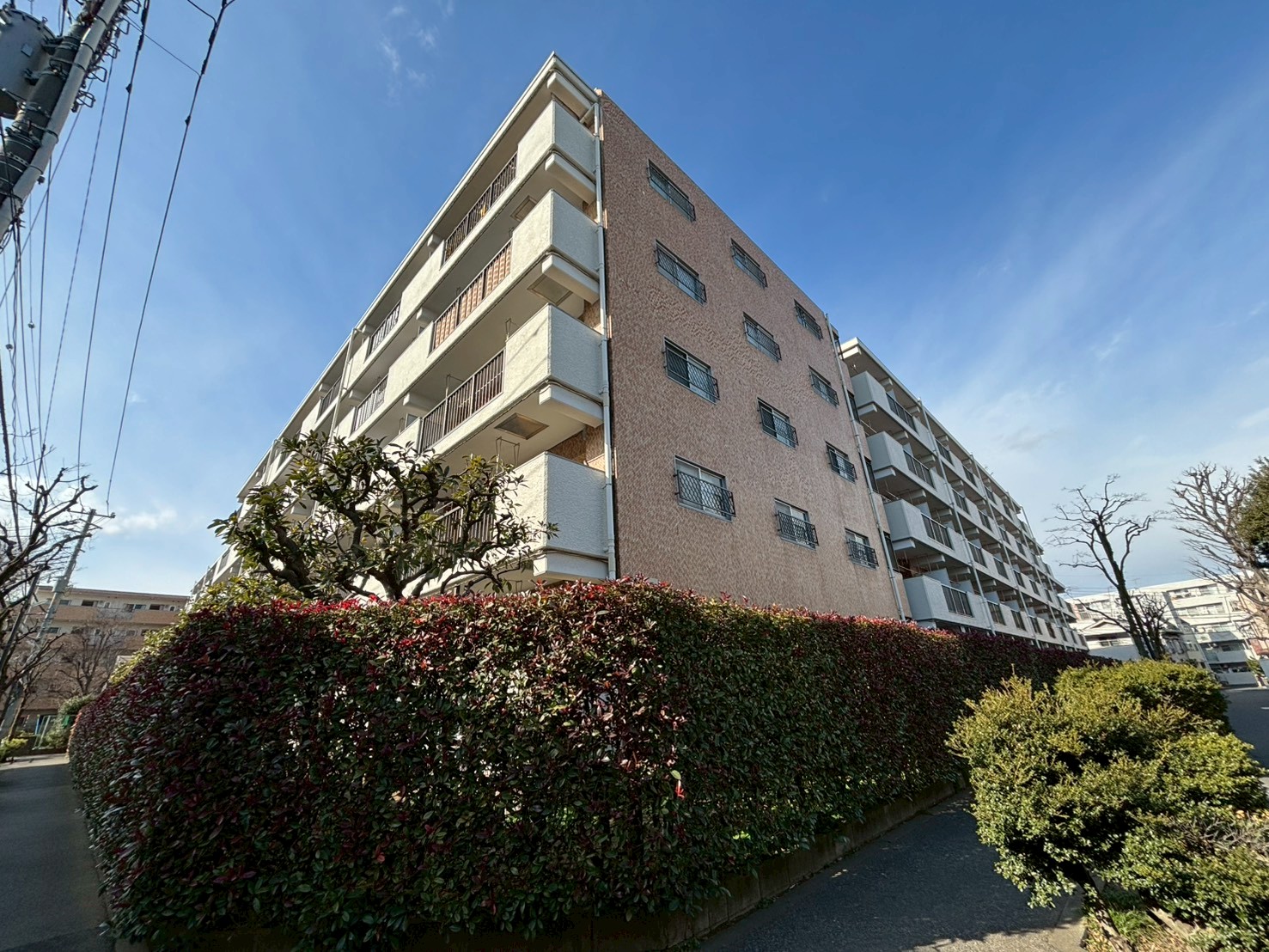 新ときわ台ローヤルコーポ